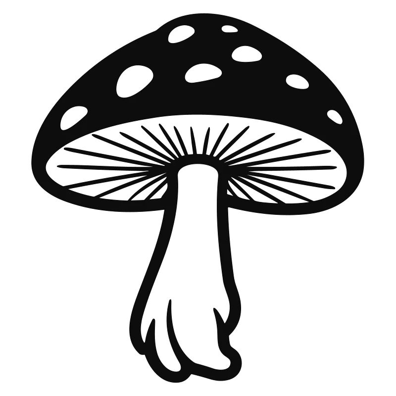 champignon