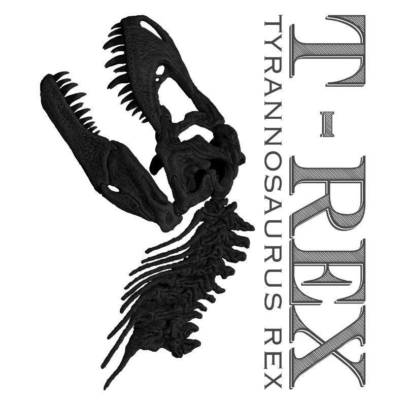 T-Rex Crâne noir