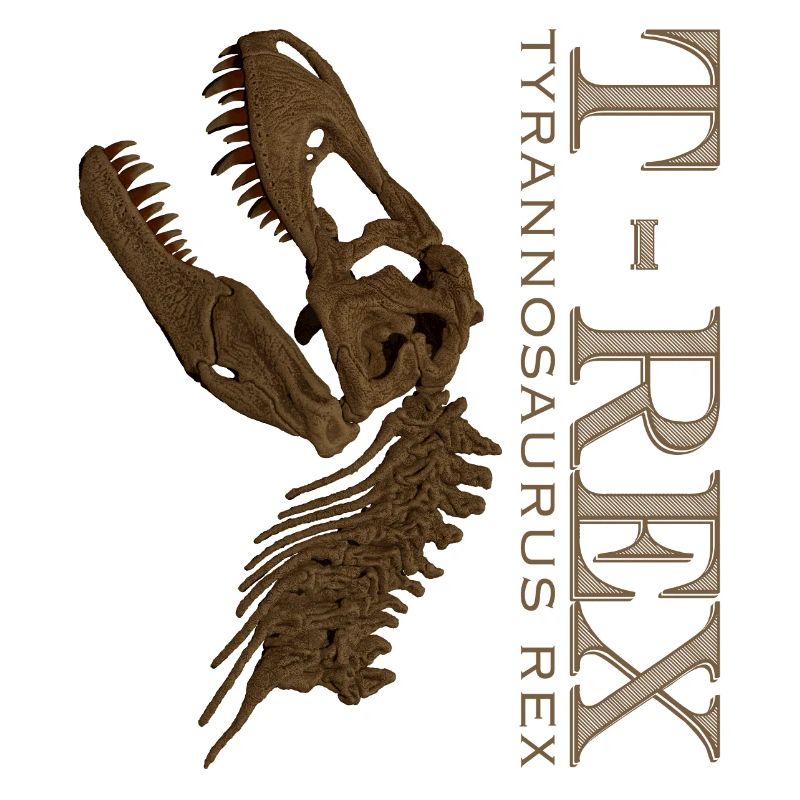T-Rex Schädel brown