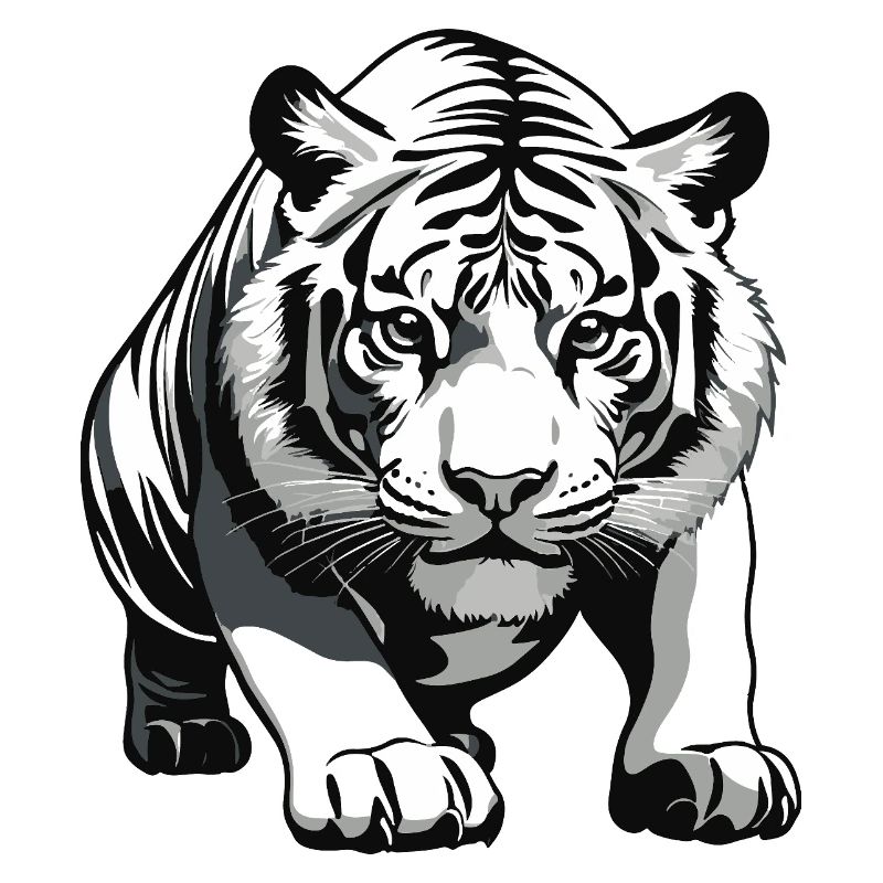 Tigre - Design animalier