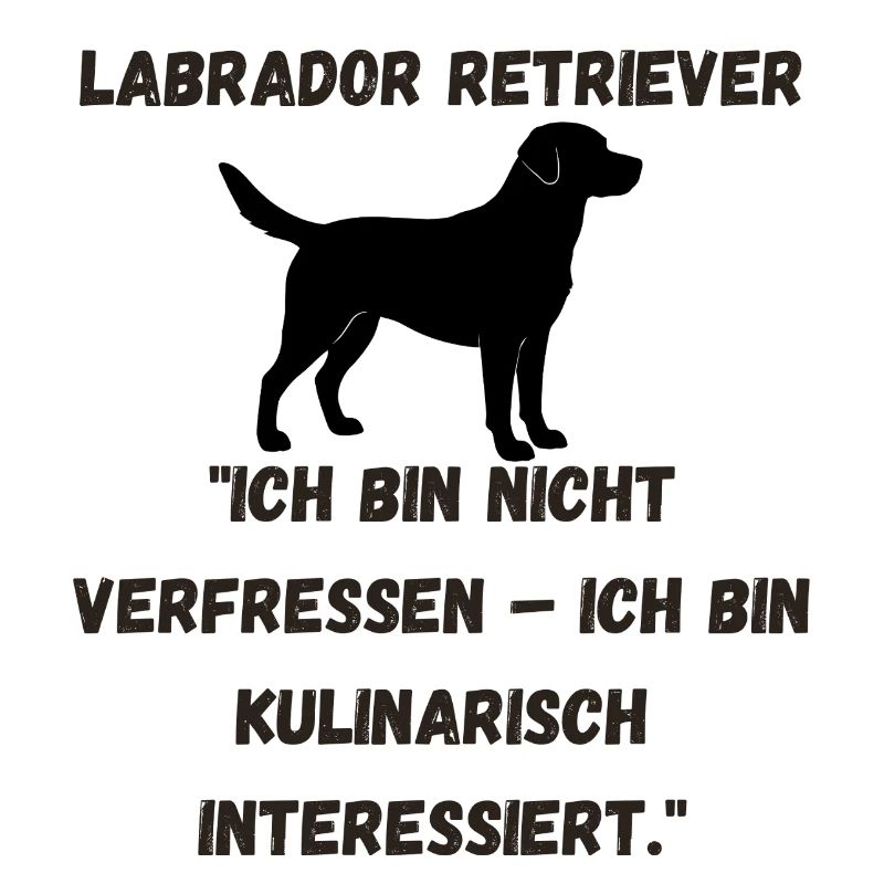 Labbi-1-