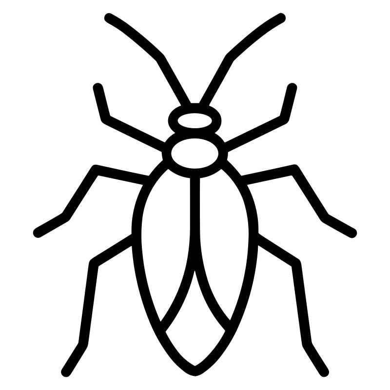 Aphid