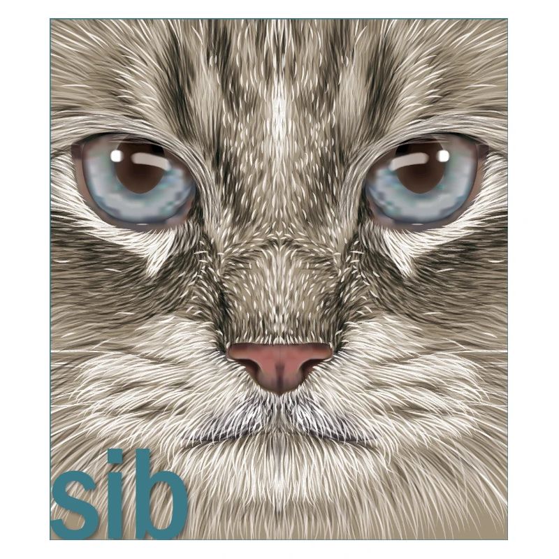 Siberian Cat