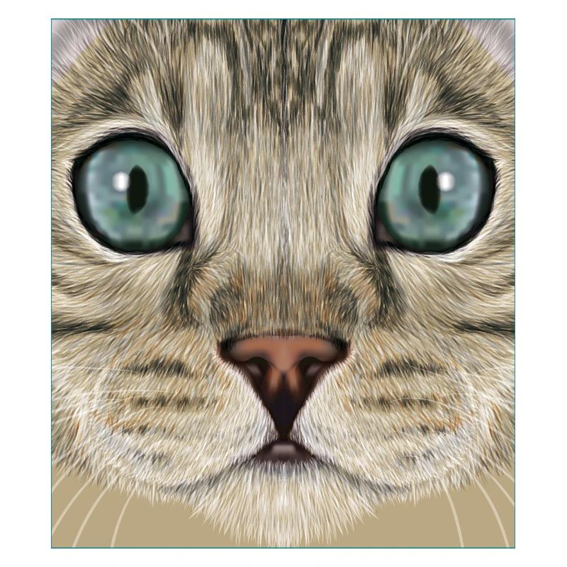 leopard cat