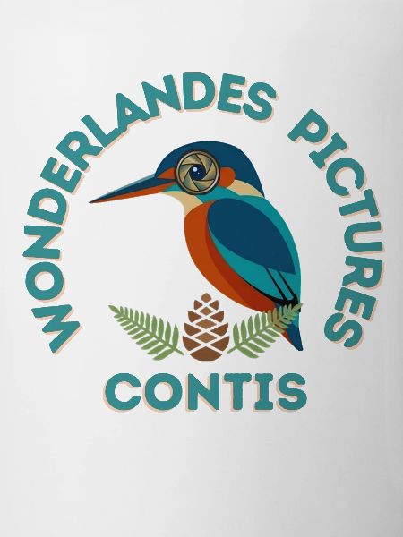 Copie_de_Sans_titre_copie