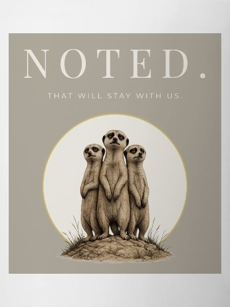 Noted Funny Meerkat