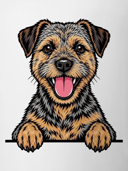 Border Terrier