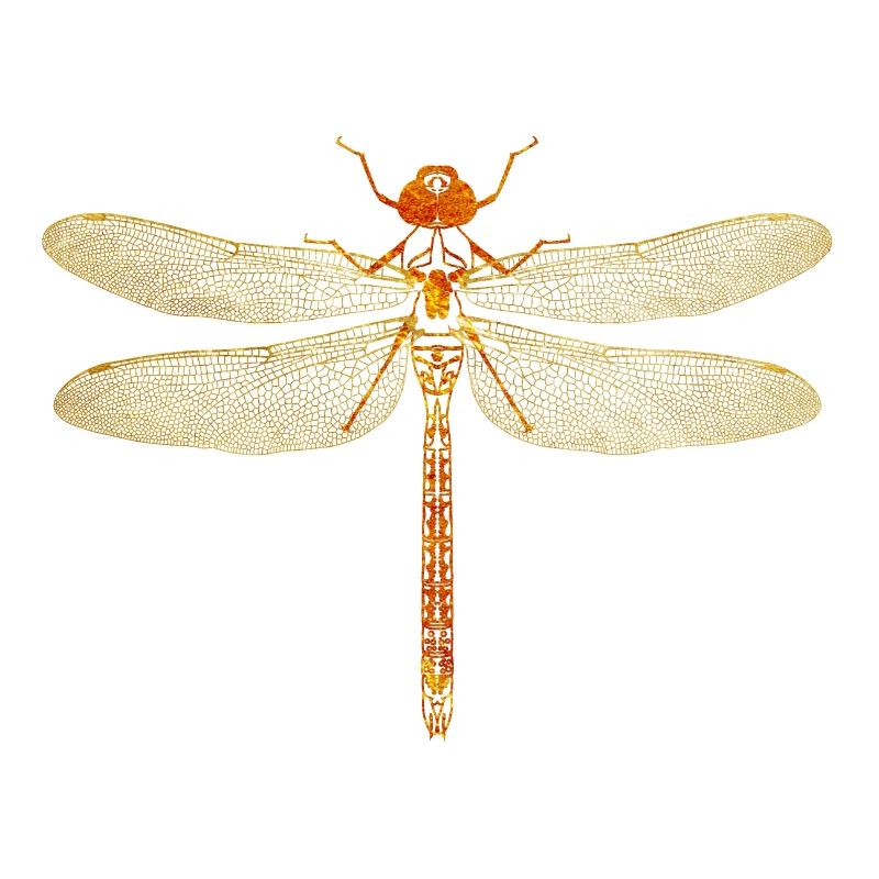 Libellule or