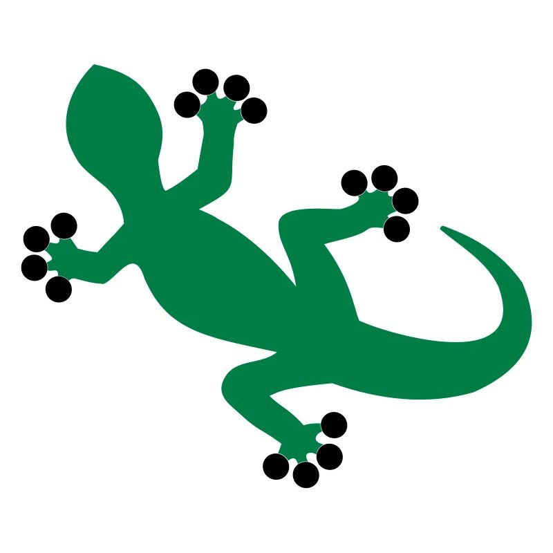 Gecko / Lézard