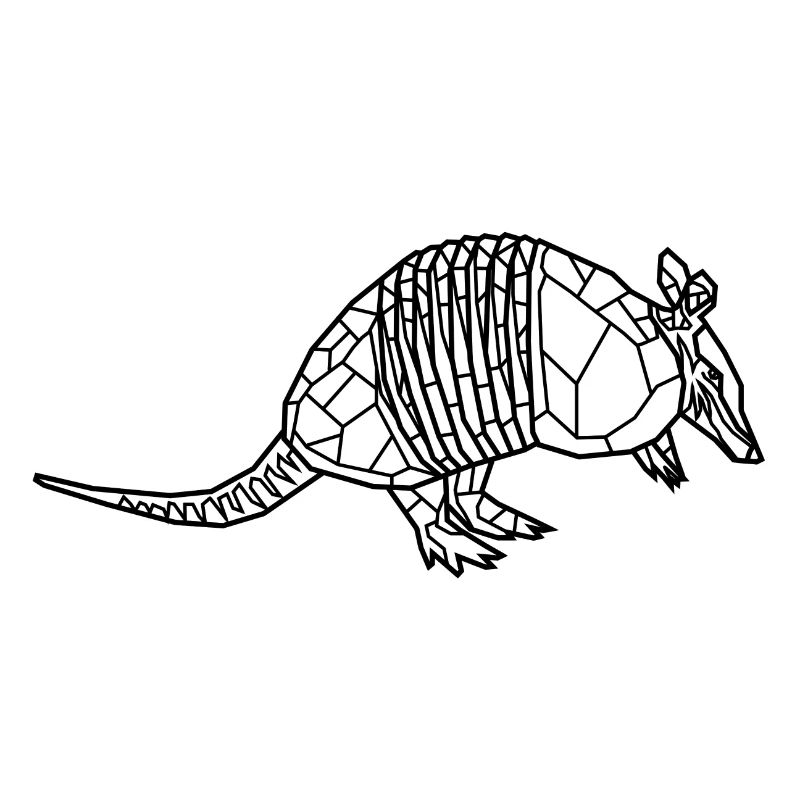 armadillo