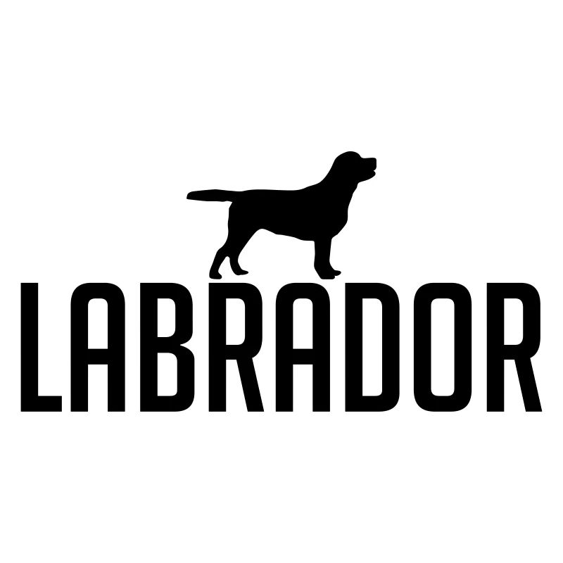 LABRADOR Dog