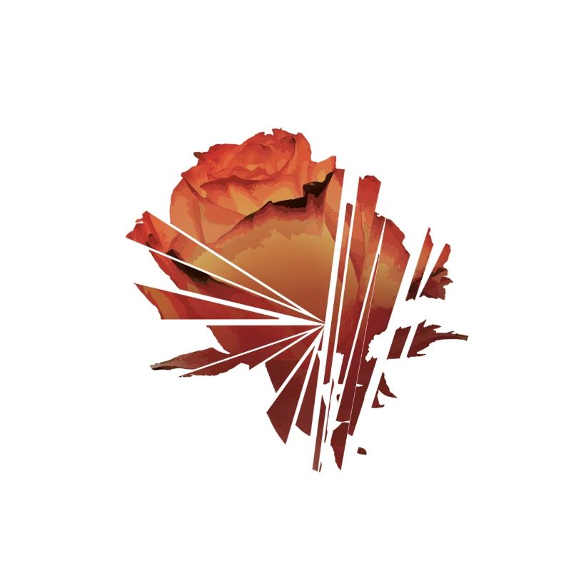 Shattered Rose