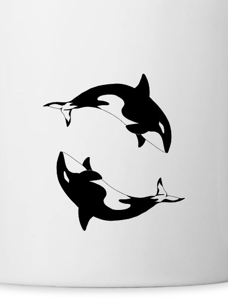 Schwertwal Orcinus orca