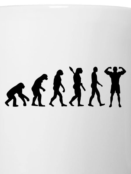 Evolution Bodybuilding