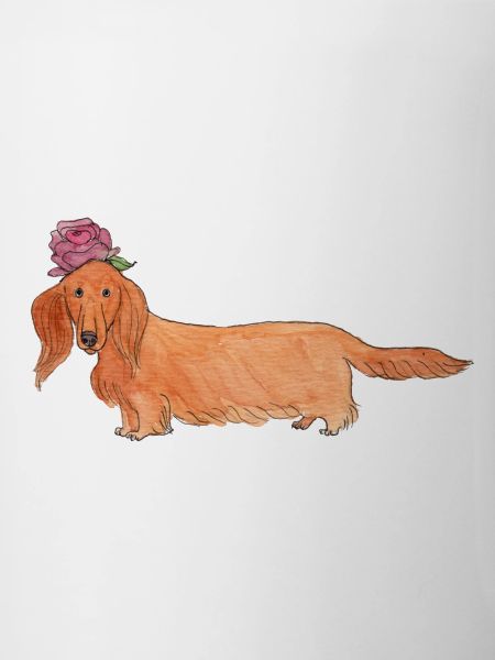 Teckel à fleur