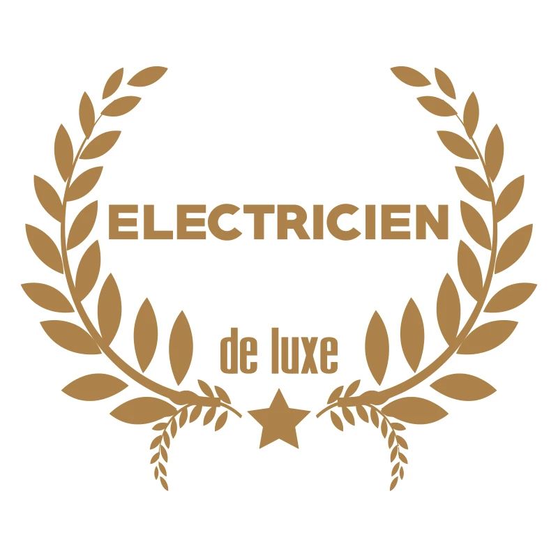 Electricien de luxe