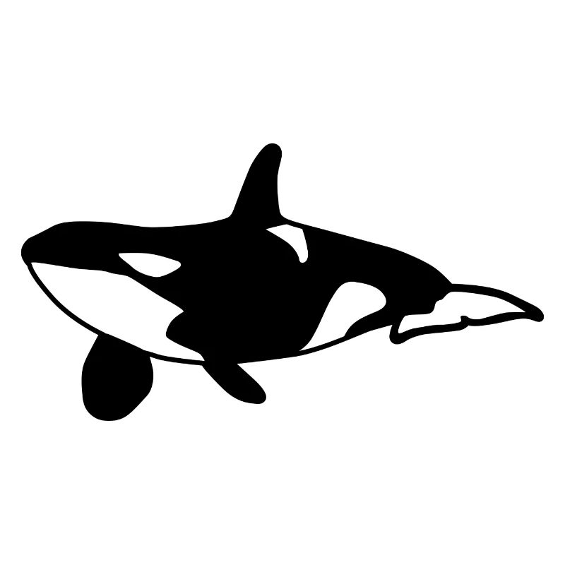 Orca Wal Meer
