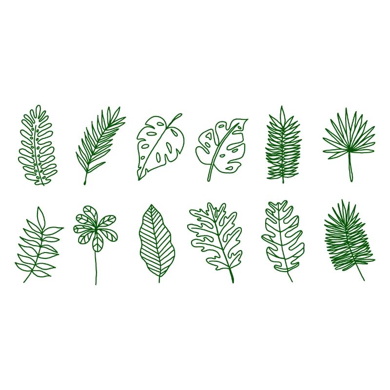 Feuilles de palmier