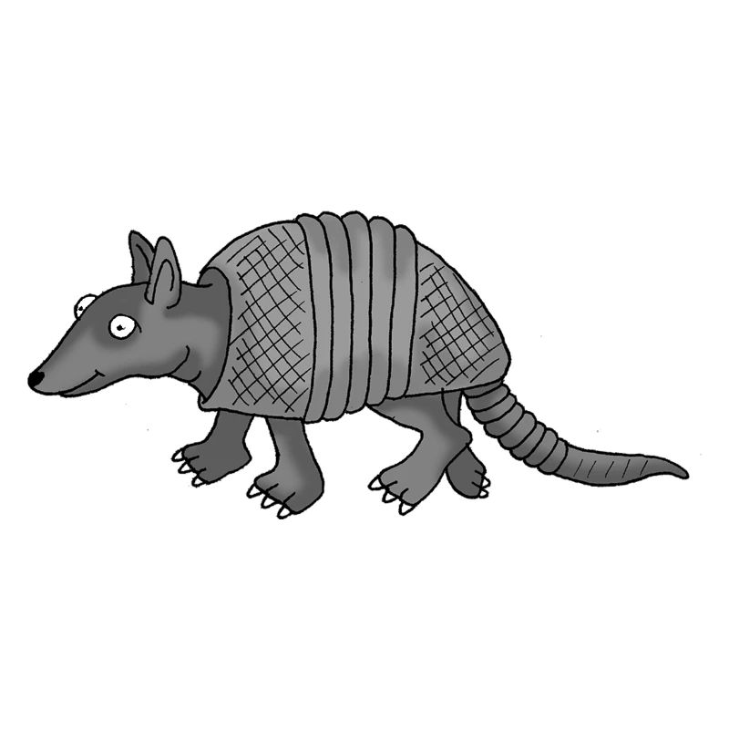 Tatou 1