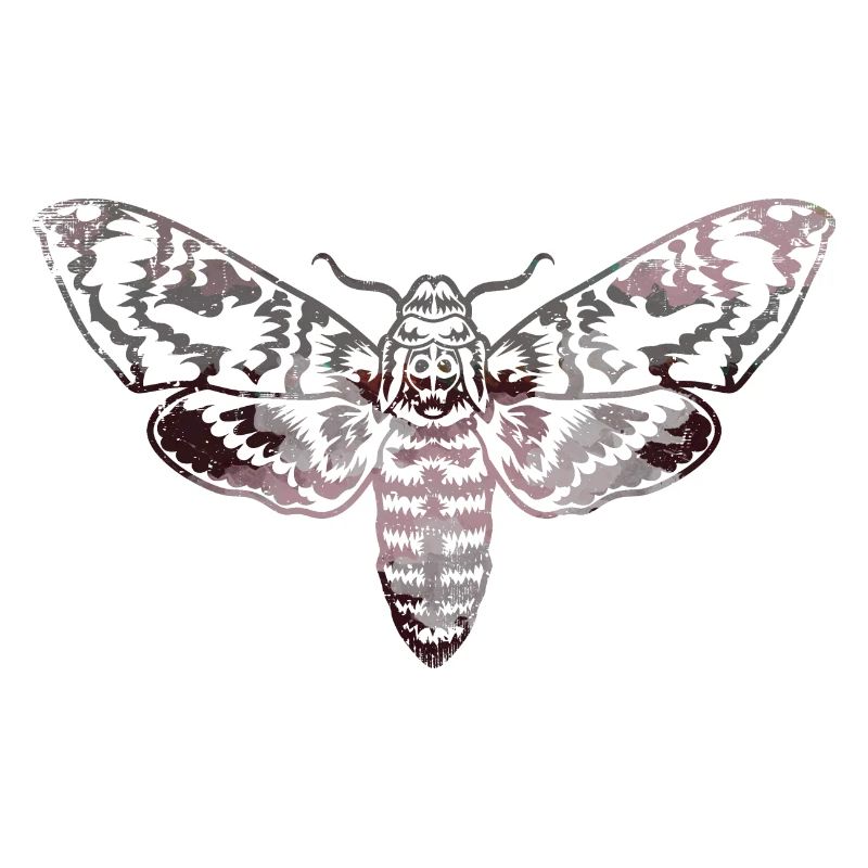 Moth,contour,gris,beige,mite