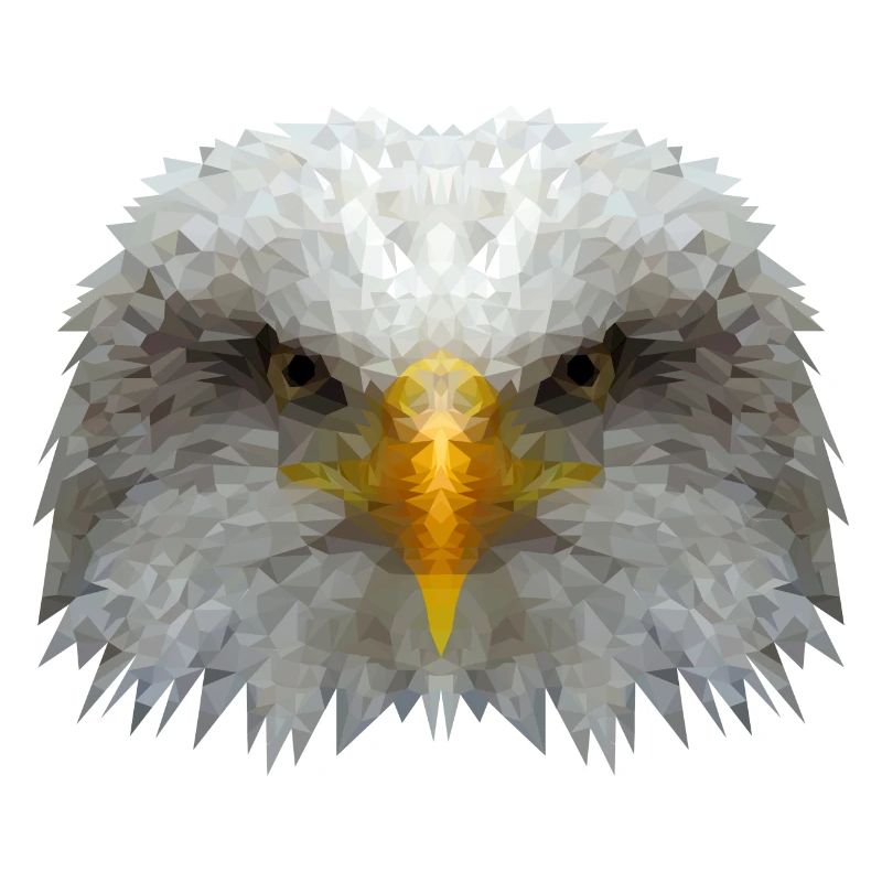 Eagle Polygon