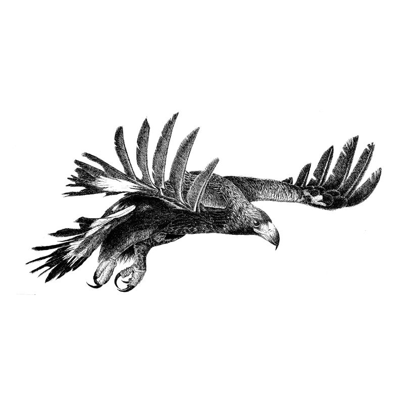 L’Aigle