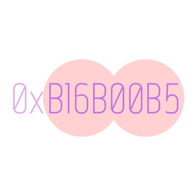 0xB16B00B5 Leetspeak 