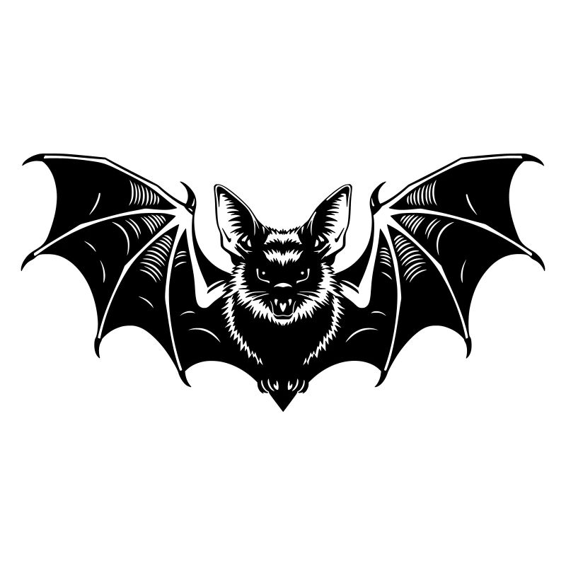 Fledermaus Gothic Illustration