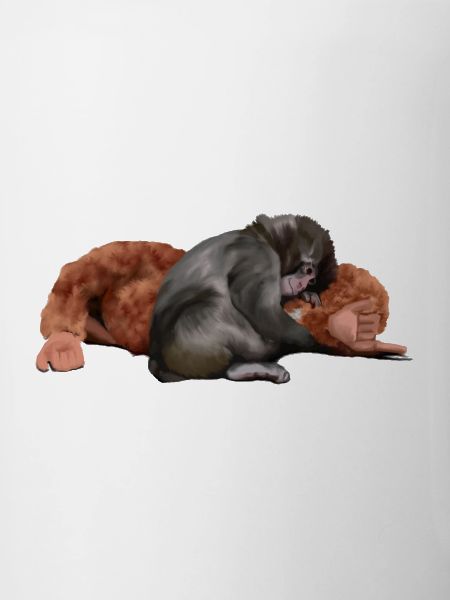Punch - the monkey
