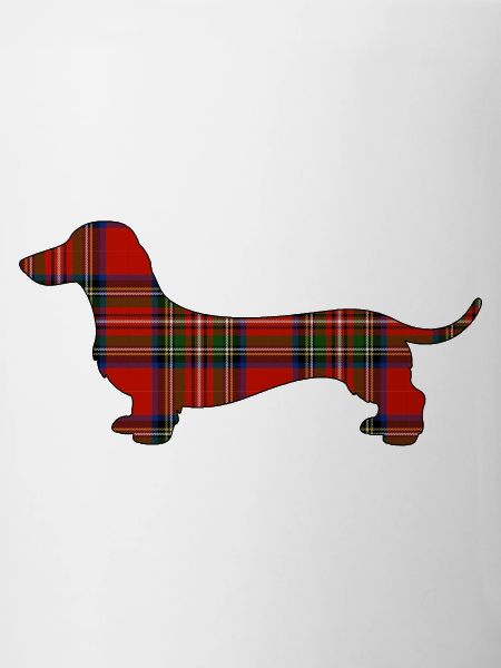 Tartan-Wursthund | Pyrenäenlinien-Labor