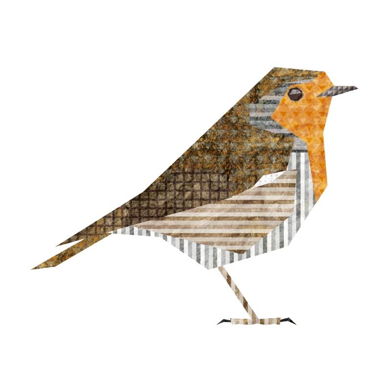 Robin