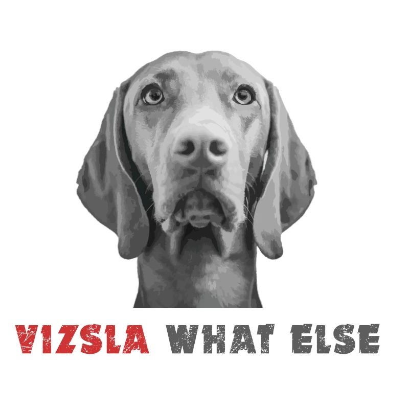 Vizsla What else