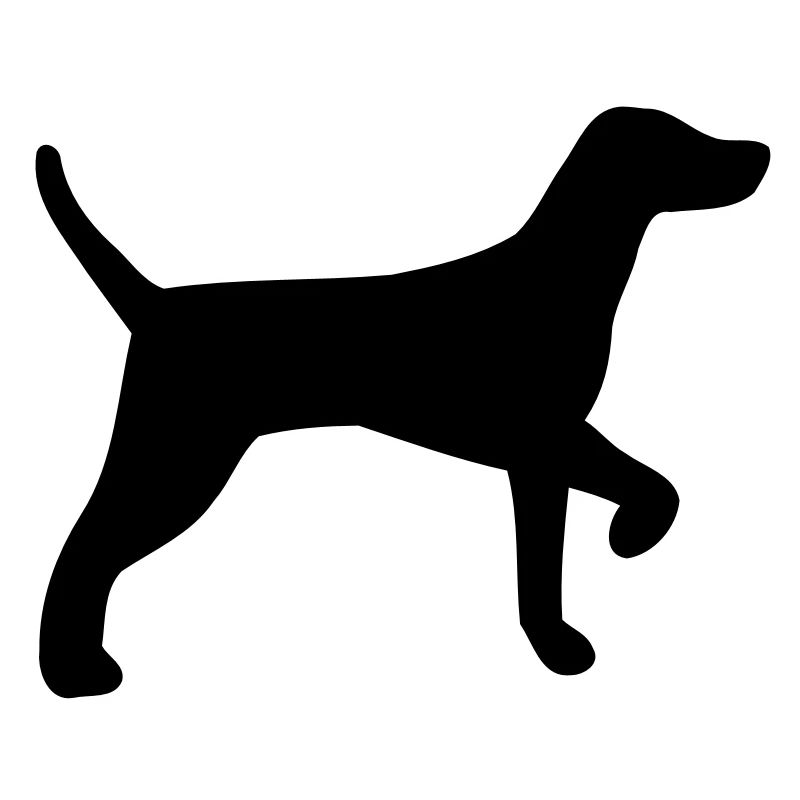 Hunting dog