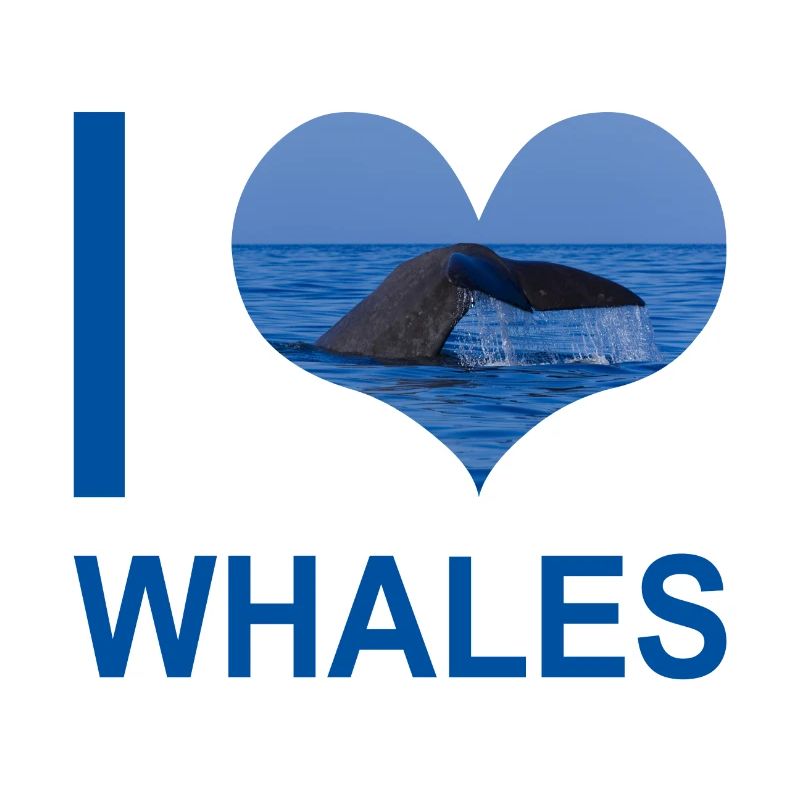 J'aime les baleines