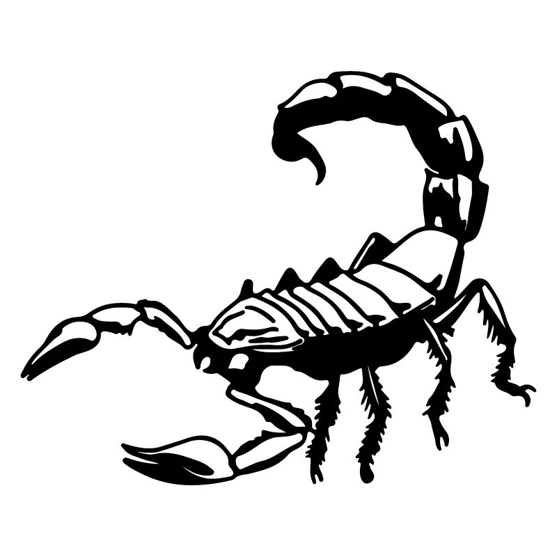 scorpion