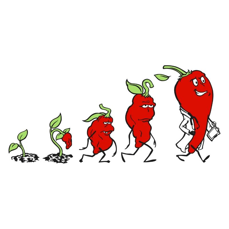 Évolution du piment