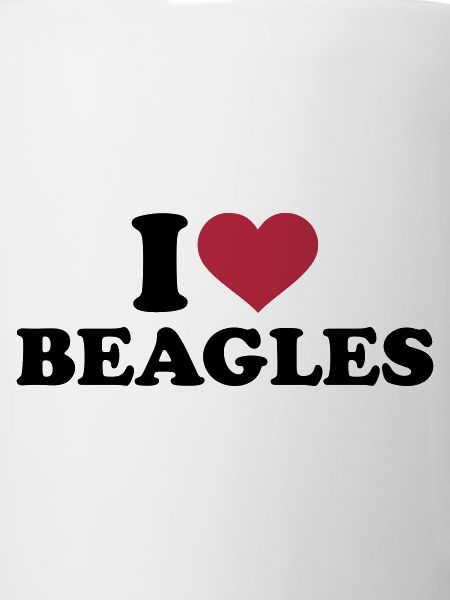 Beagle