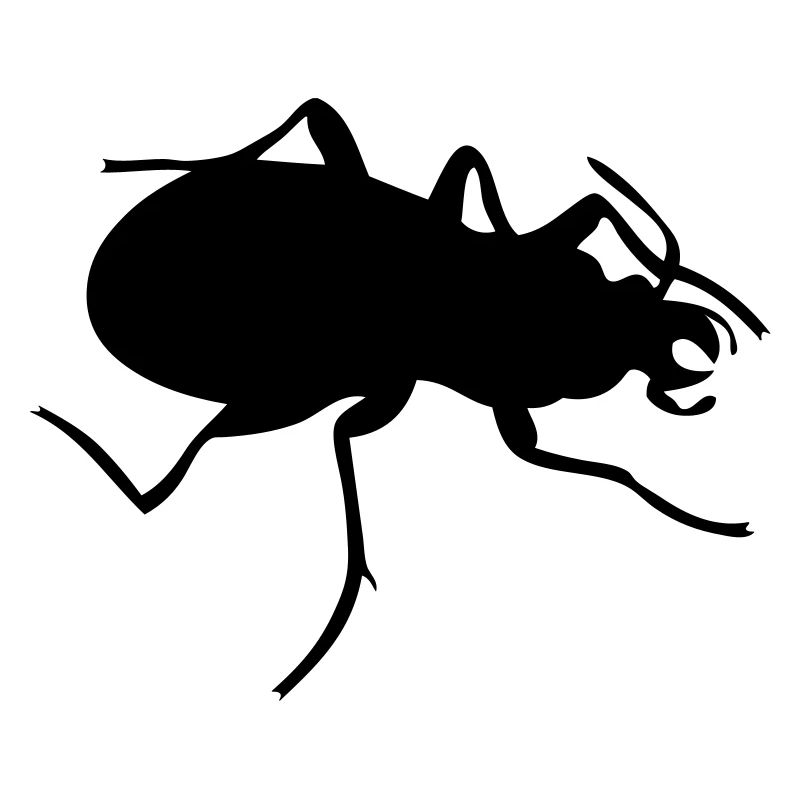 Beetle