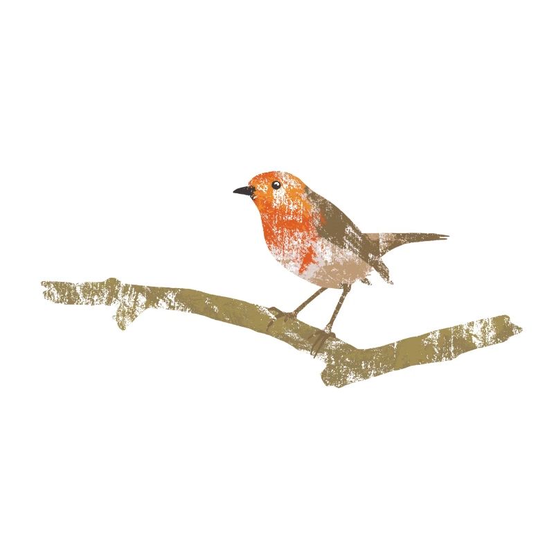 Robin