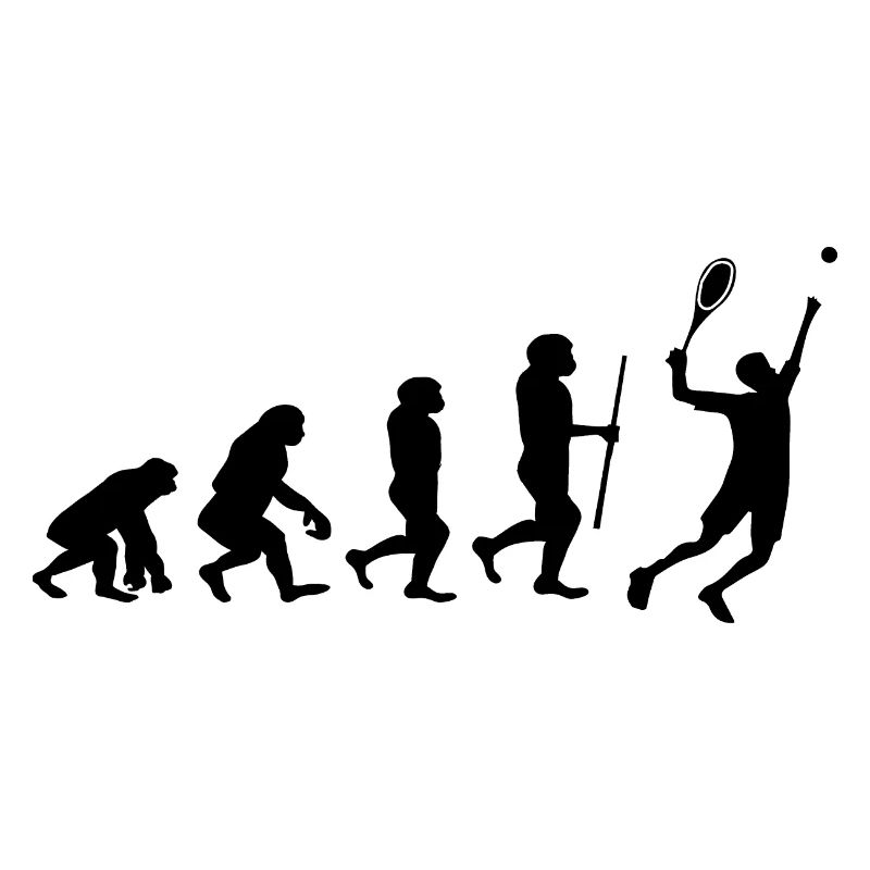 Tennis Evolution Badminton