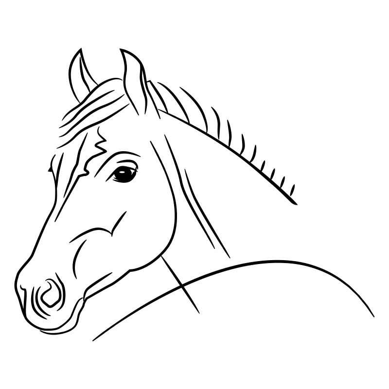 Pferdekopf-Illustration