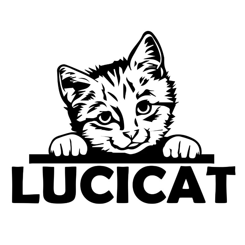 Chat Katze