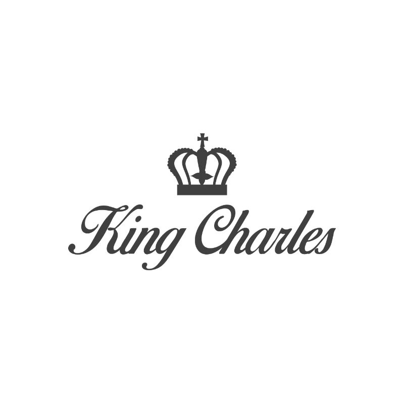 Roi Charles König Monarque d’Angleterre