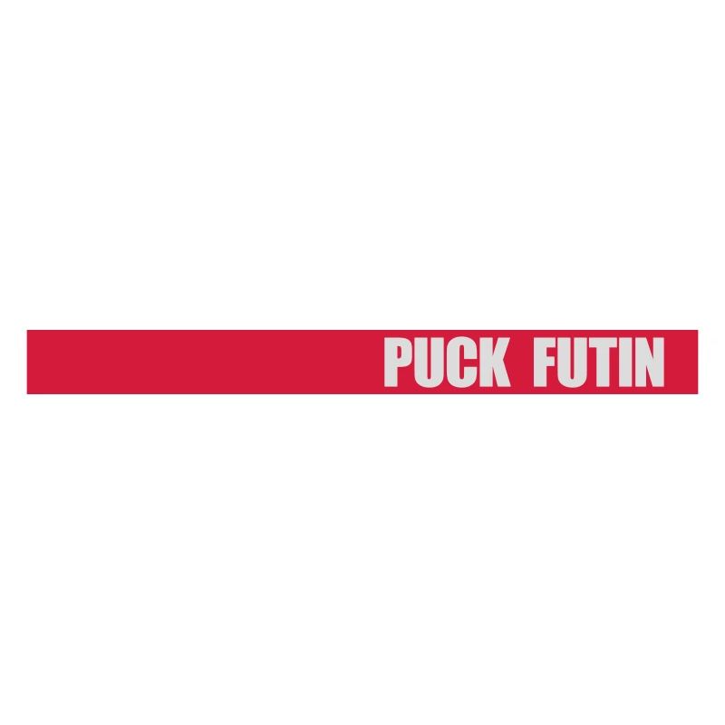 Conception du logo Puck Futin