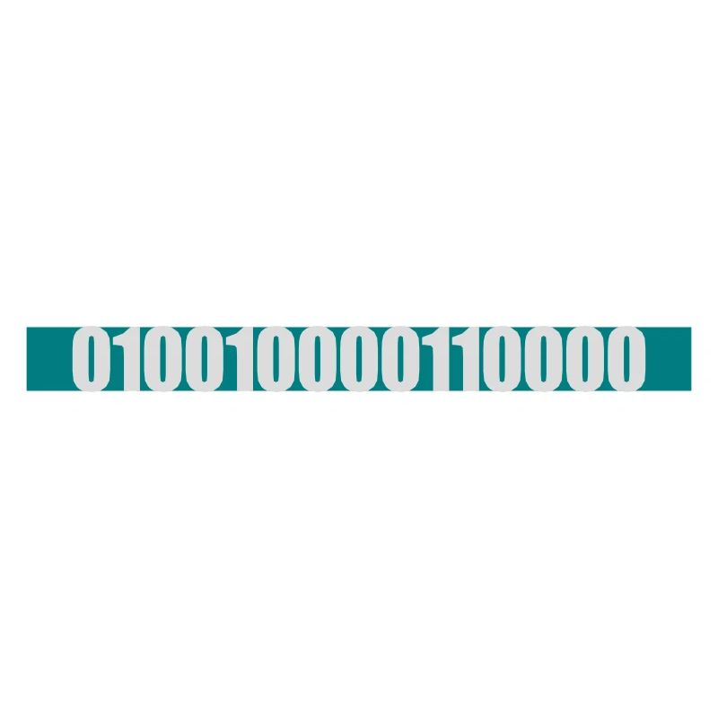 Langage de programme de code binaire