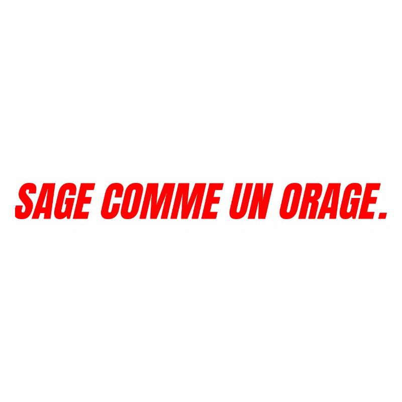 sage comme un orage