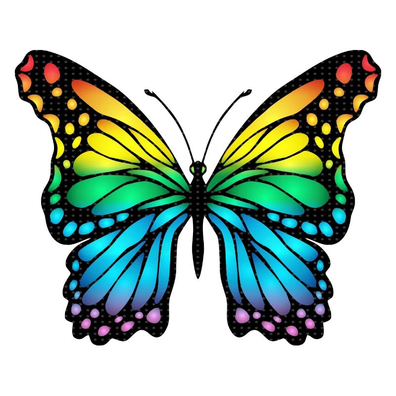 Papillon