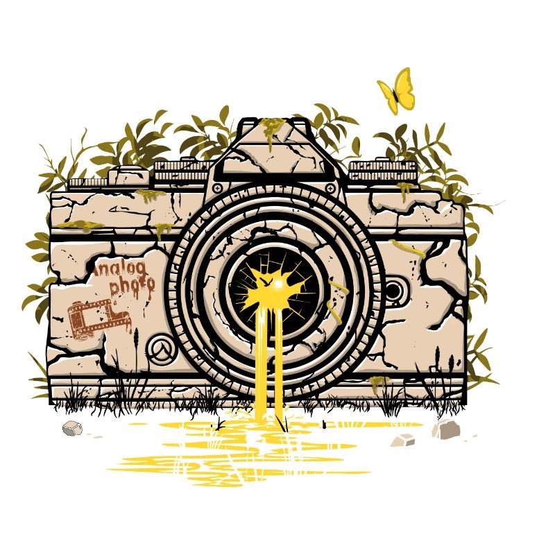 Camera ruins