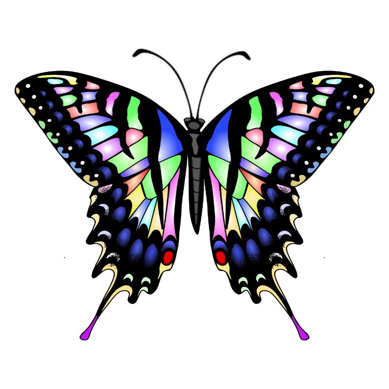 Schwalbenschwanz Schmetterling