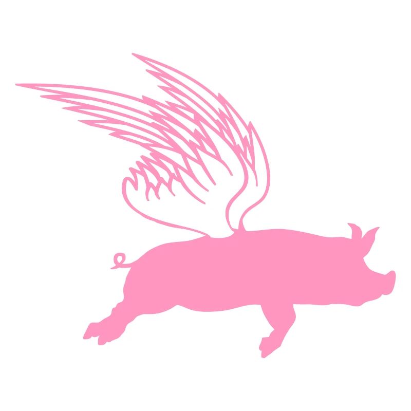 When Flying Wings Flying Pigs Can Fly